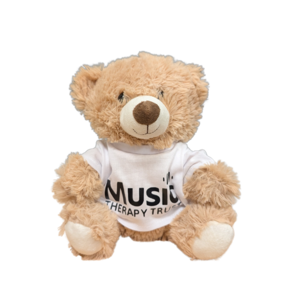 Small Teddy Bear with T-shirt